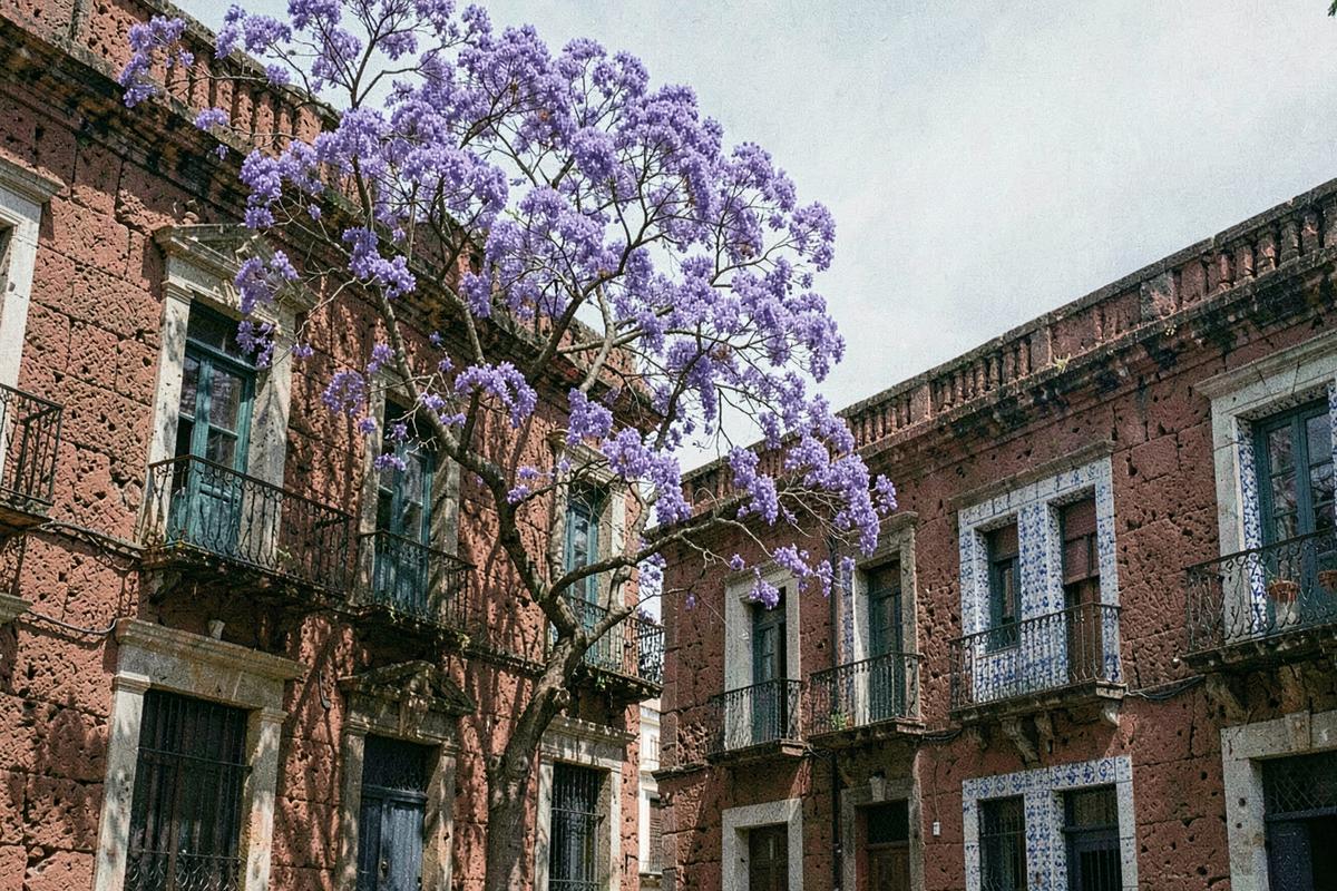 Red tezontle stone colonial facades and jacaranda trees in Mexico City (illustrative image)